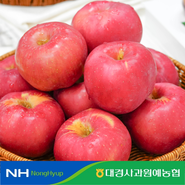 햇살듬뿍 봉화 홍로 사과 2.5kg(9~12과)*2박스 / 총 5kg
