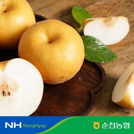 2026 농협 순천 신고배 4.5kg