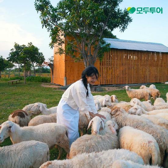 [*여행의신세계]모두투어 나트랑 5일! 5대특식/230불상당 호핑투어,머드온천,사막투어/5성호텔 3연박 399천원부터  3