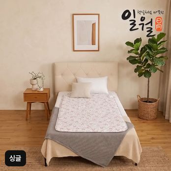 (싱글)일월 알러크린 카본매트