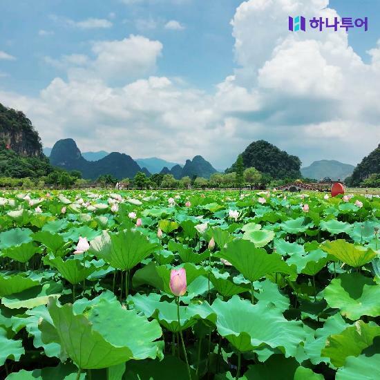 [특집전]하나투어✈천저우/망산/광저우 5일!대한항공,아시아나항공/6대특식 전일정식사/월드체인호텔 699천원부터! 4