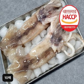 자연산 손질 통오징어 총 20마리(10팩)
