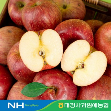 이로운 군위 햇 홍로 더알짜  5kg (17-30과), 개별중량170-300g