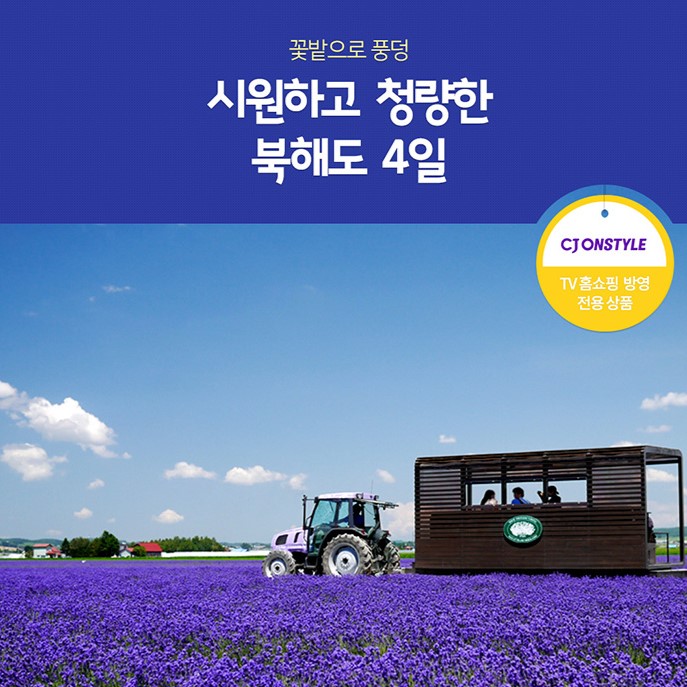 노랑 북해도 100204