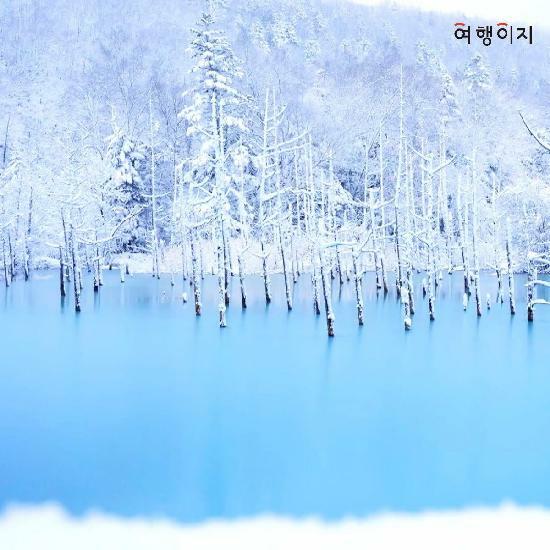 [특집전]교원투어 프라임 최적의 동선 북해도 4일! 프리미엄 국적기/5성급호텔/No옵션/기사가이드경비 포함/온천/게뷔페포함 전일정식사 3