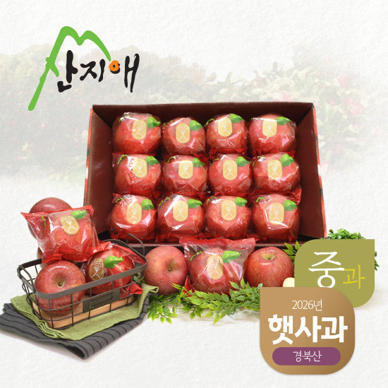 산지애 양광 햇사과 6kg (3kg*2박스, 총 16~24과) 2