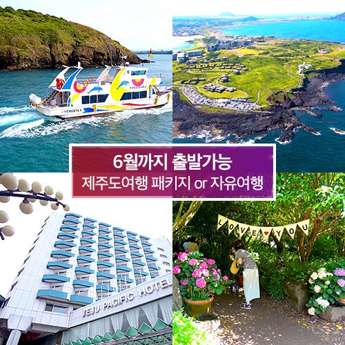 [스페셜투어] 제주도 3박4일 패키지여행 or 2박3일 에어카텔 자유여행 | 홈쇼핑모아